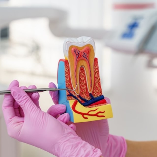 Endodontic Dentistry 